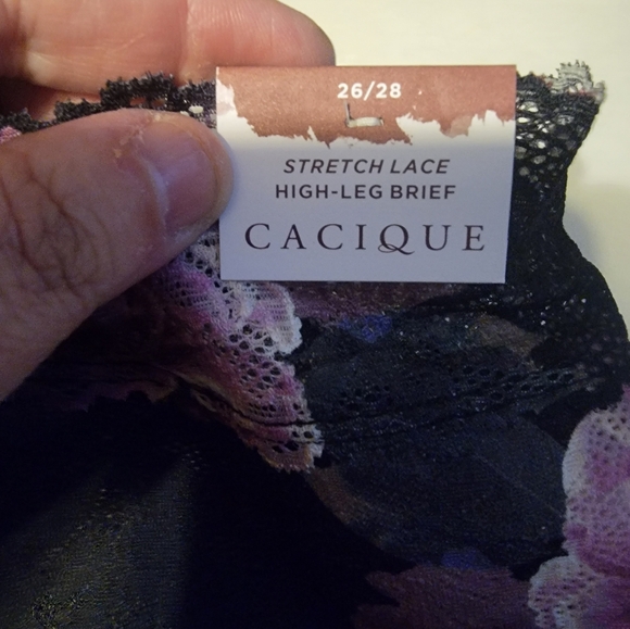 Lane Bryant Cacique Bra & Panties Set Lightly Lined w/underwire 50DD 26/28 - Picture 4 of 5